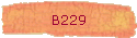 B229