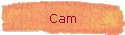 Cam