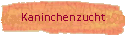 Kaninchen / Rabbits